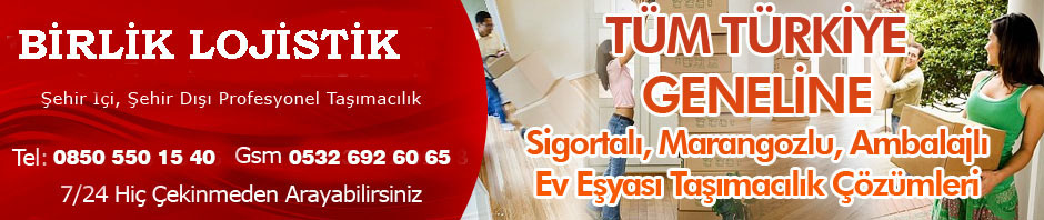 Uluslararası Evden Eve Nakliyat Fiyatları BİRLİK Lojistik AŞ İstanbul